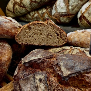 le signature